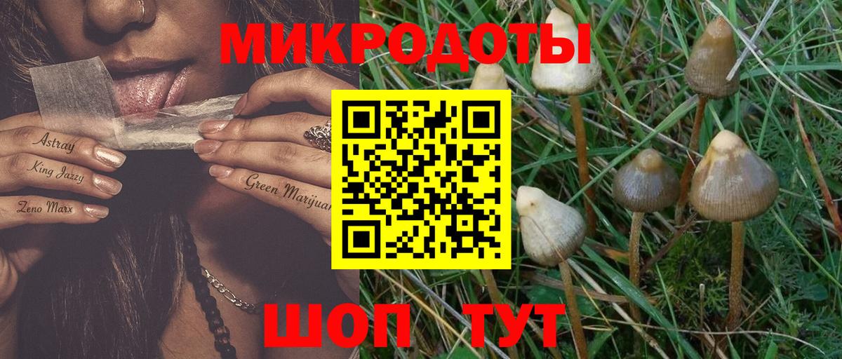 Галлюциногенные грибы Magic Shrooms  Галлюциногенные грибы мицелий  Армавир  Вход с VPN 
