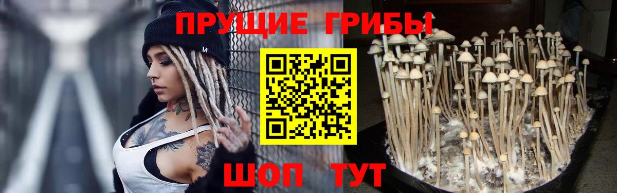 Псилоцибиновые грибы мухоморы Армавир